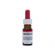 Nagelgodis, 10 ml