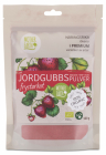 Frystorkat Jordgubbspulver RAW&EKO 100g 