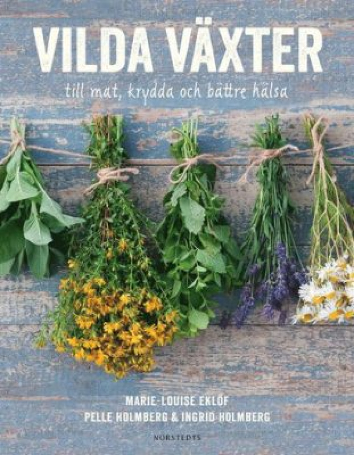 Vilda Växter - Till mat, krydda och bättre hälsa i gruppen Hem & Hushåll / Böcker hos Masesgården AB (2066)