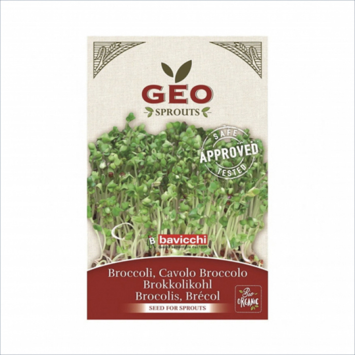  Broccolifrö 13g i gruppen Hälsokost / Övrigt hos Masesgården AB (20036)